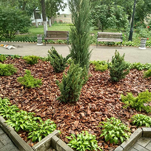 Хвойная мульча в Твери купить - оперативная доставка по всей России
